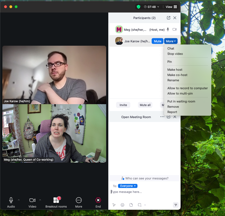 The 'More' button dropdown with 'Make co-host option on Zoom'
